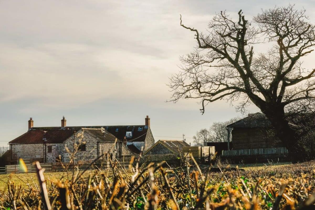 The Granary- Hopewell *