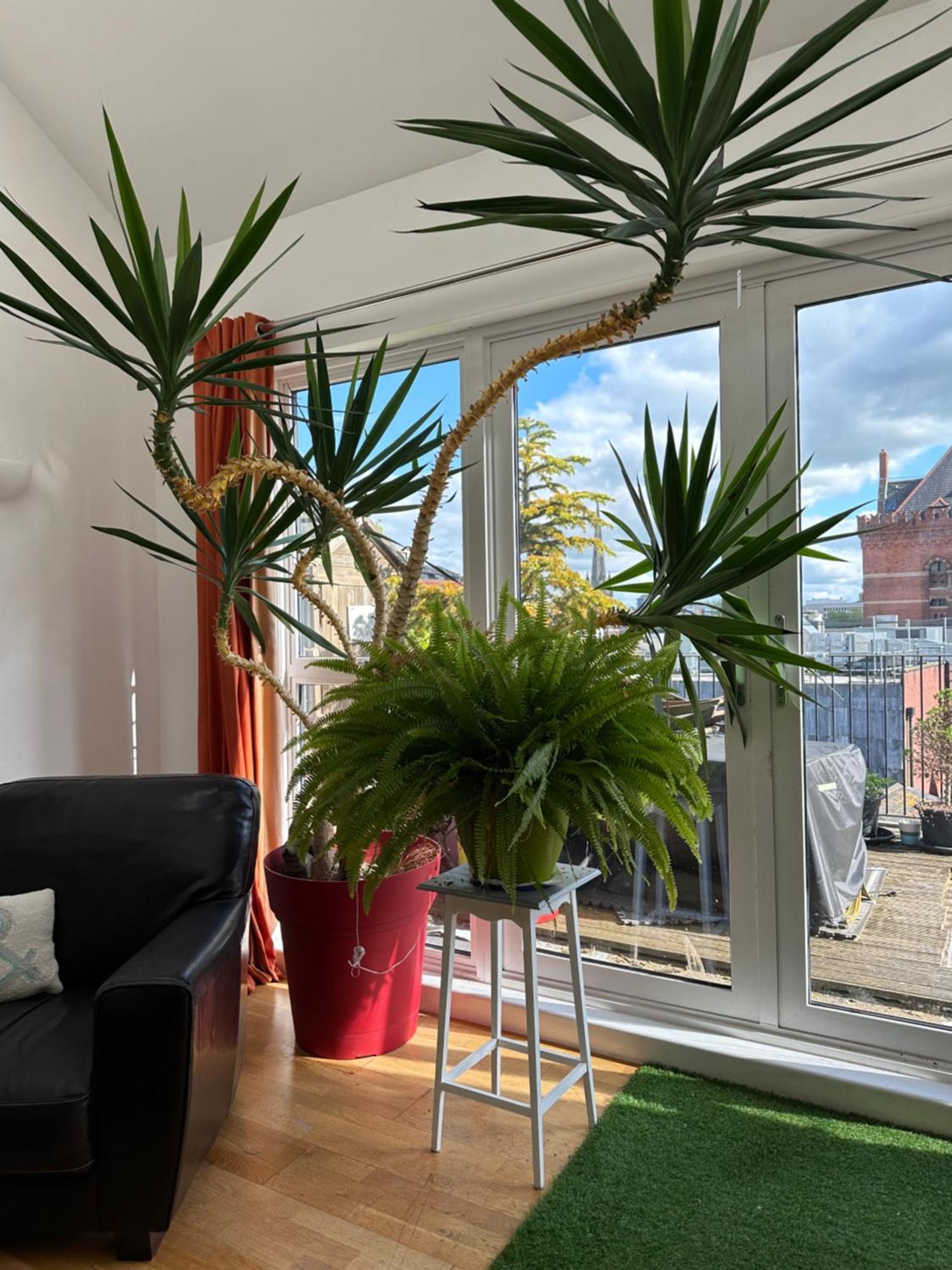 Apartment Stunning City Centre 4 Bedroom Penthouse - 2 Car Parking Spaces *