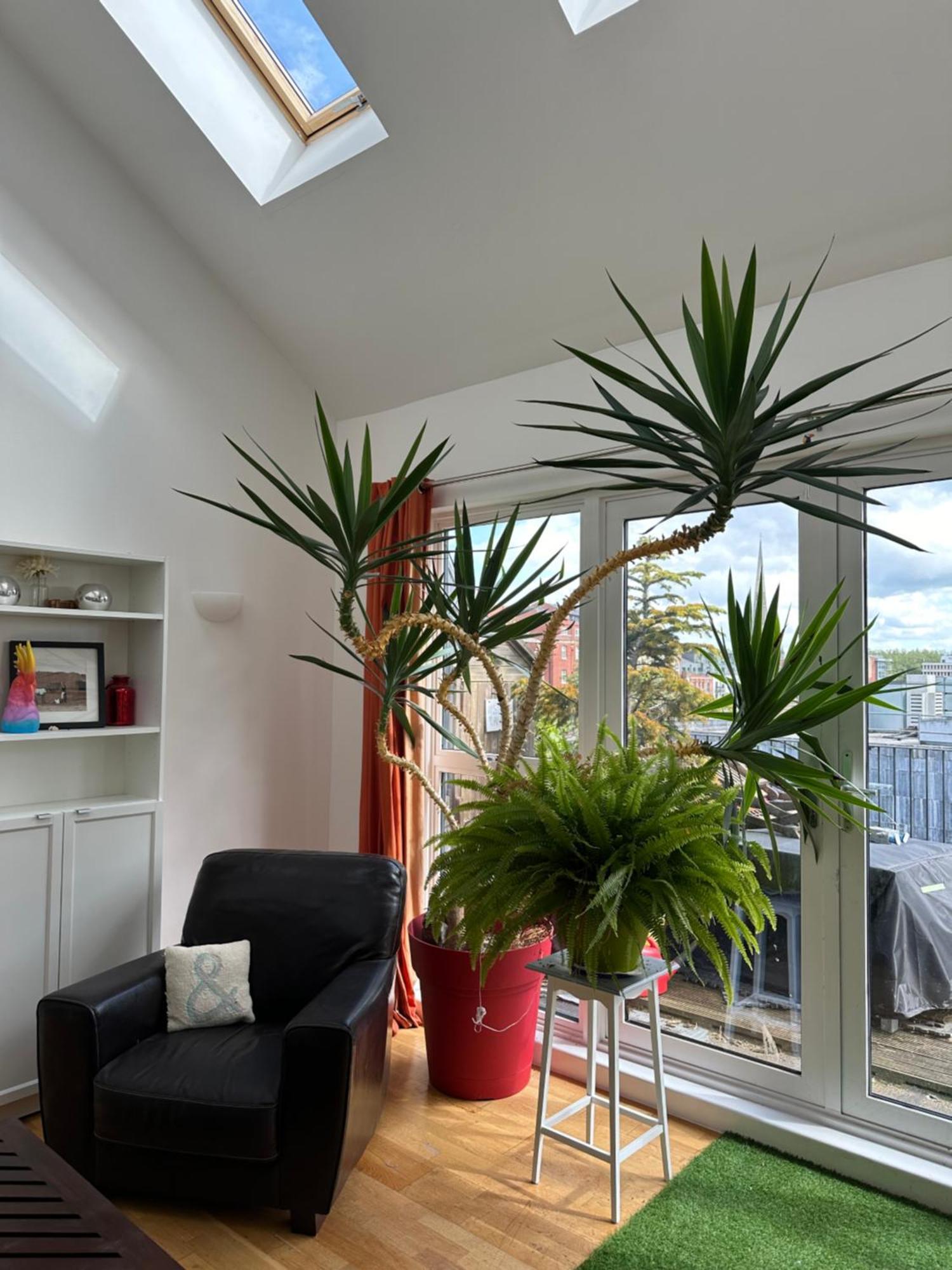 Stunning City Centre 4 Bedroom Penthouse - 2 Car Parking Spaces Bristol
