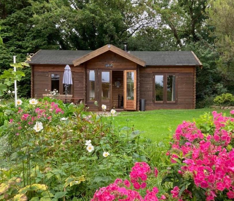 The 'shed' Log Cabin, Bishop Sutton Apartment *