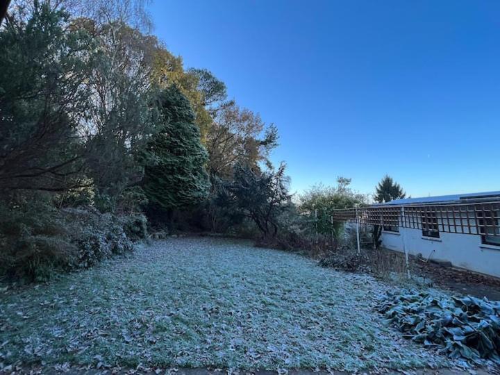 The 'shed' Log Cabin, Bishop Sutton