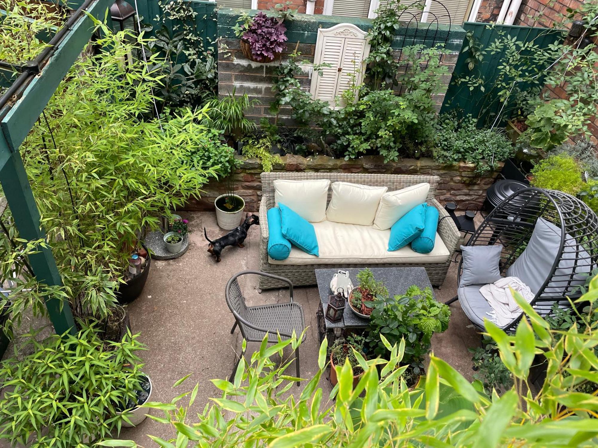 Charming & Central Pipe Lane House *