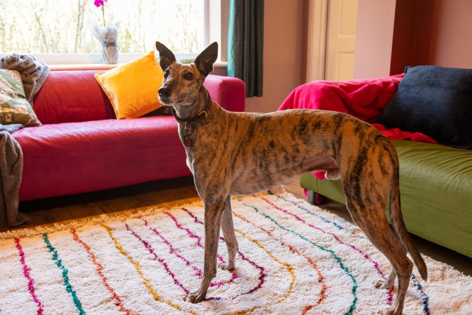 Stockwood House By Cliftonvalley Holiday home *