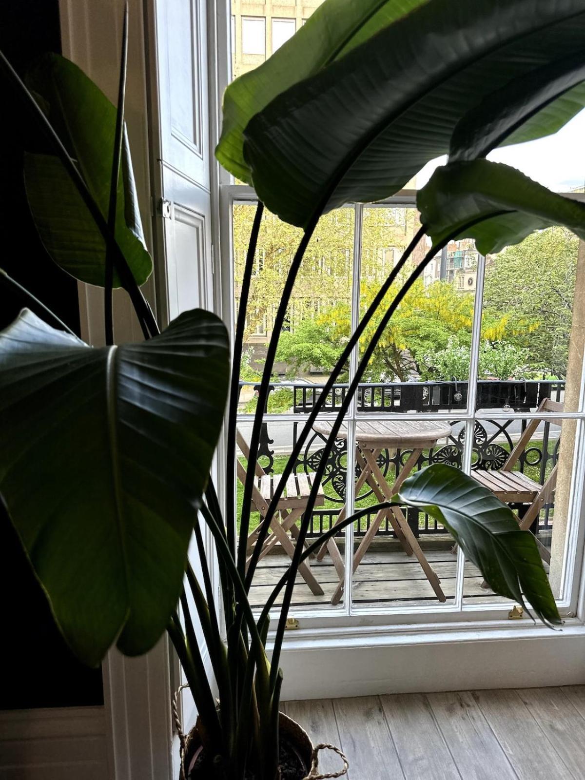 Beautiful 1 Bedroom Georgian Flat In Clifton Village With Parking Apartment