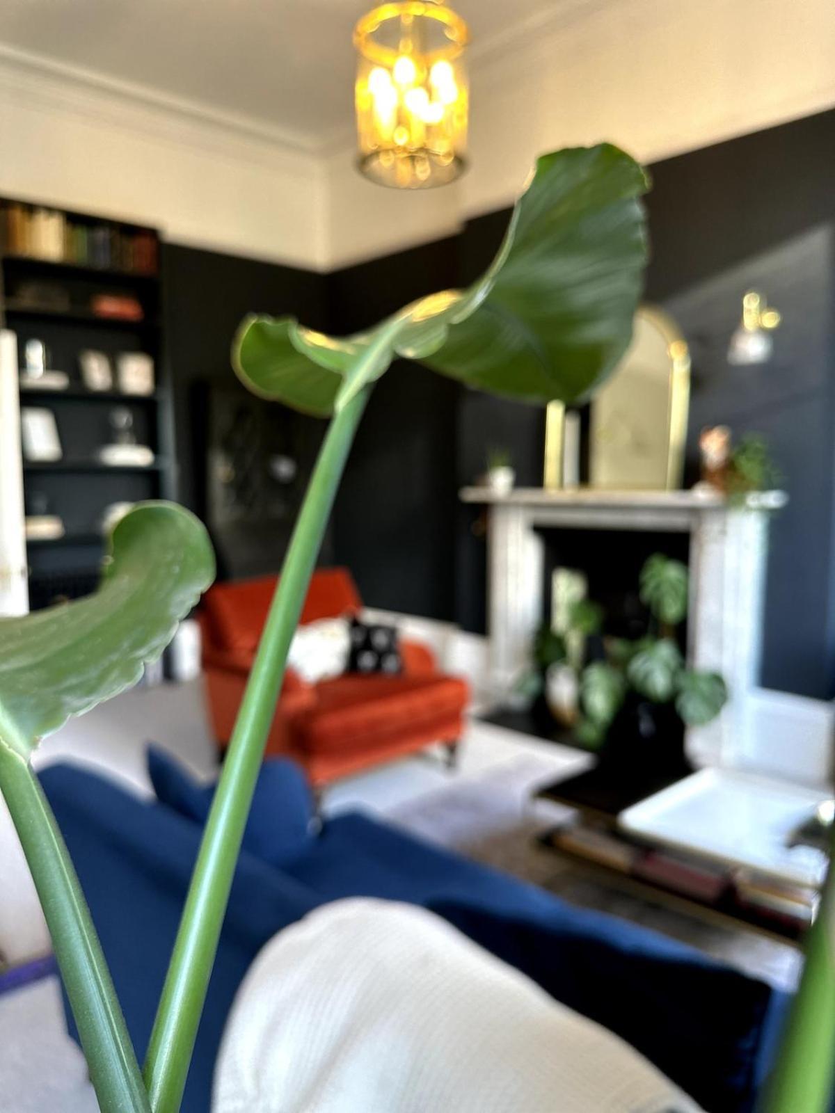 Beautiful 1 Bedroom Georgian Flat In Clifton Village With Parking * Bristol
