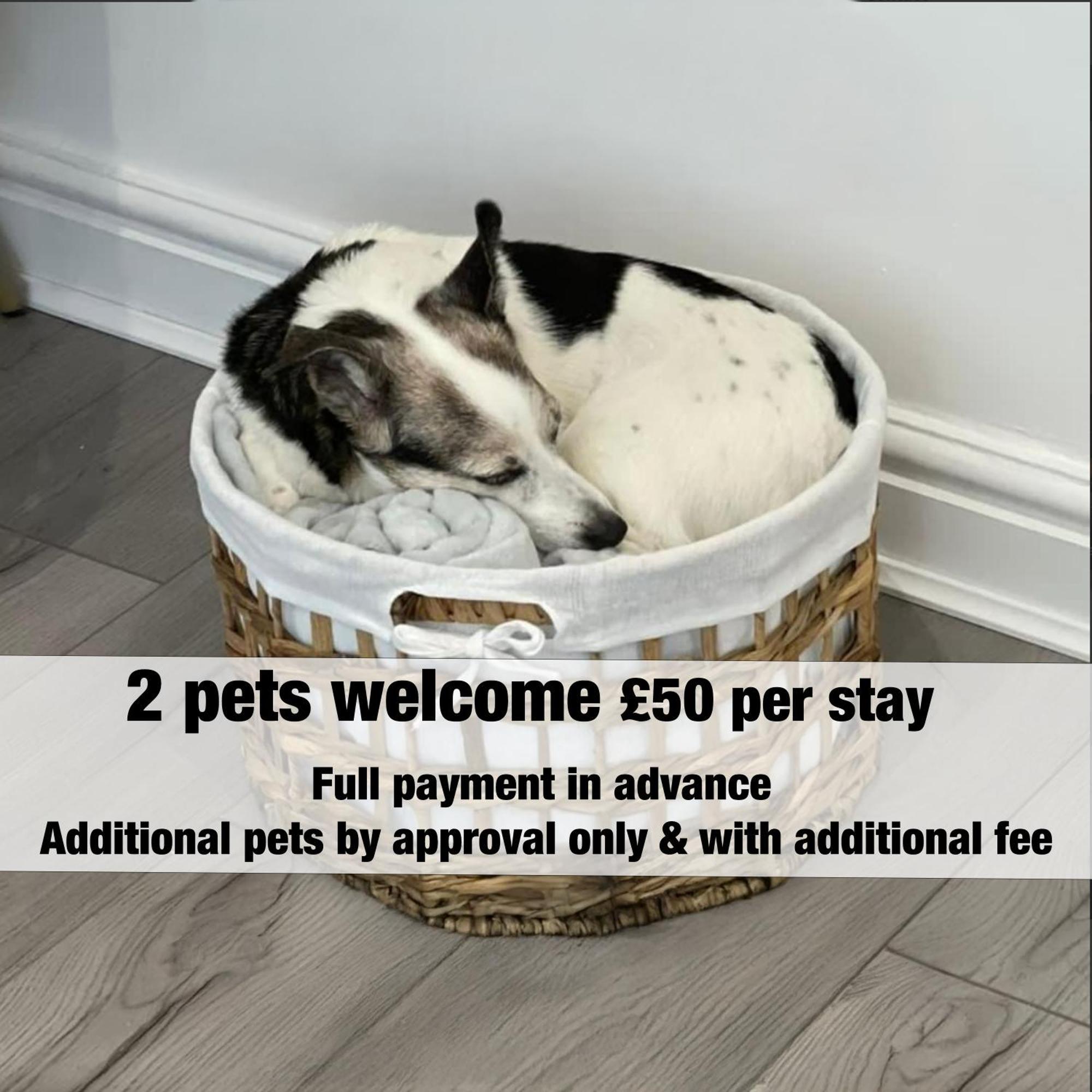 Dings House With Free Parking In Super South West Location By Staystaycations Holiday home *