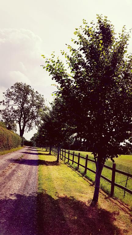 The Dutch Barn *