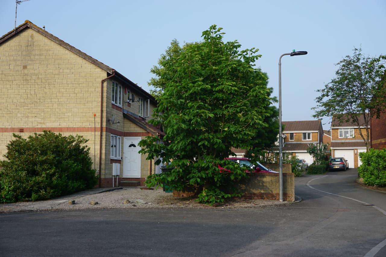 Holt Bristol