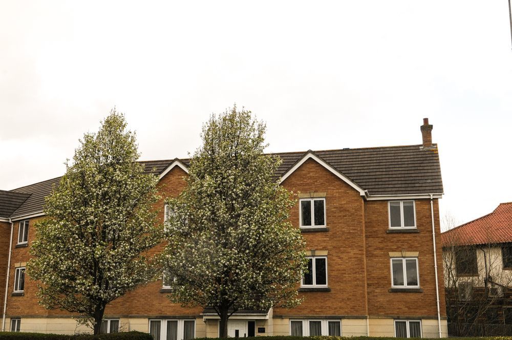 Apartment Orchard Bristol
