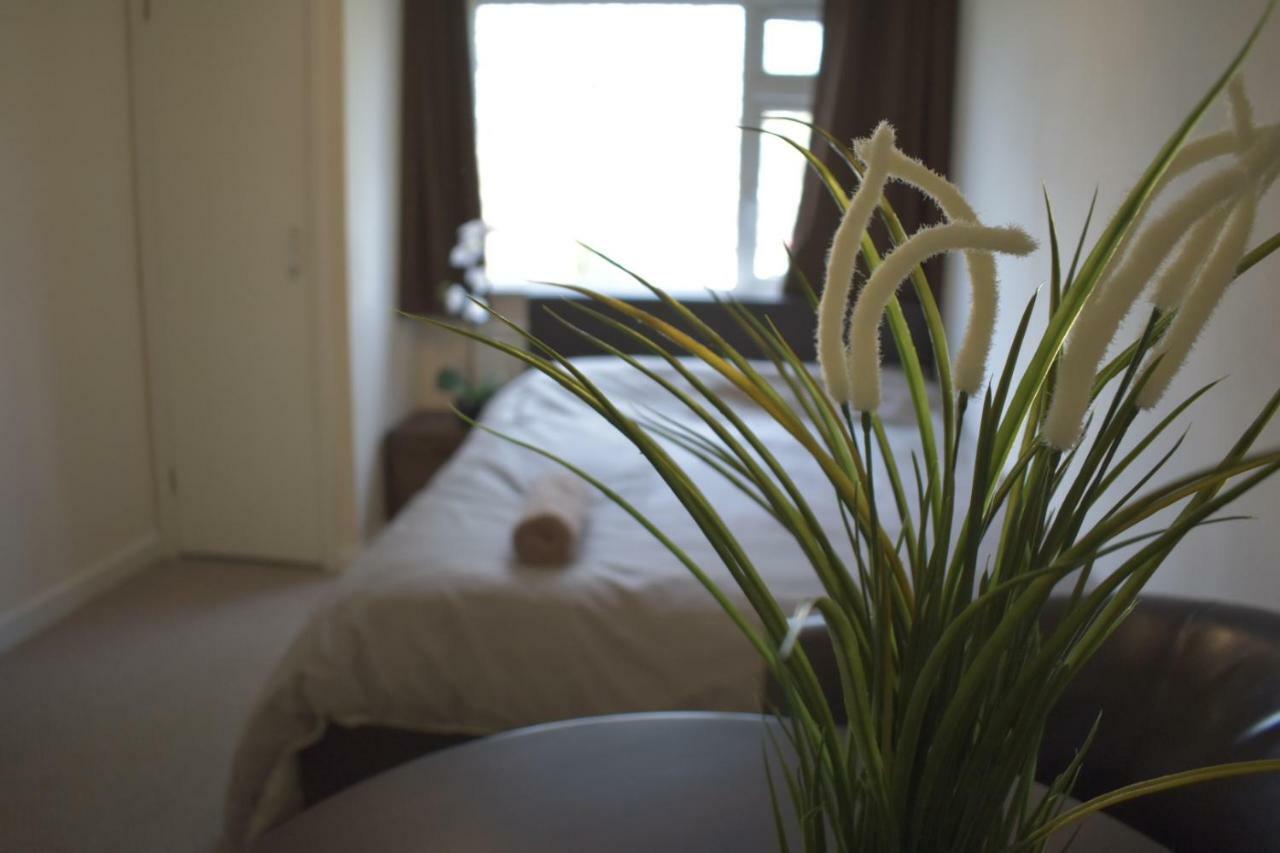 Guest house And A *