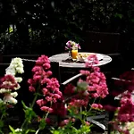 Best Western Henbury Lodge Hotel