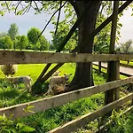 The Shepherd\'S Nest