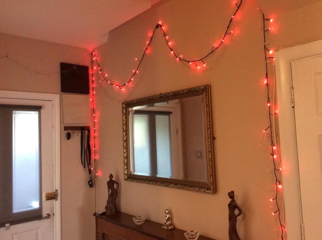 2 Double Bedroom Flat With Large Garden *