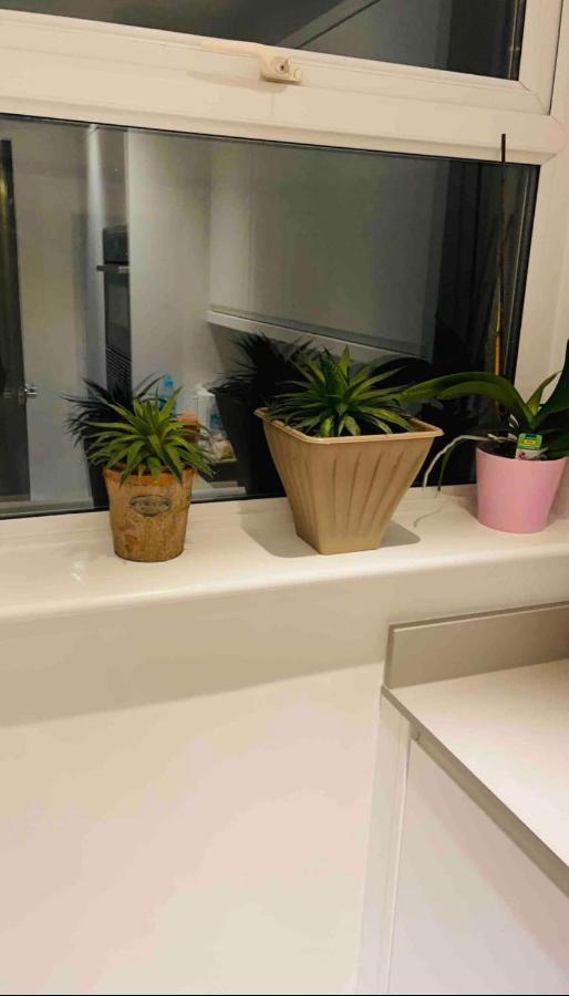 Mia Property Guest house