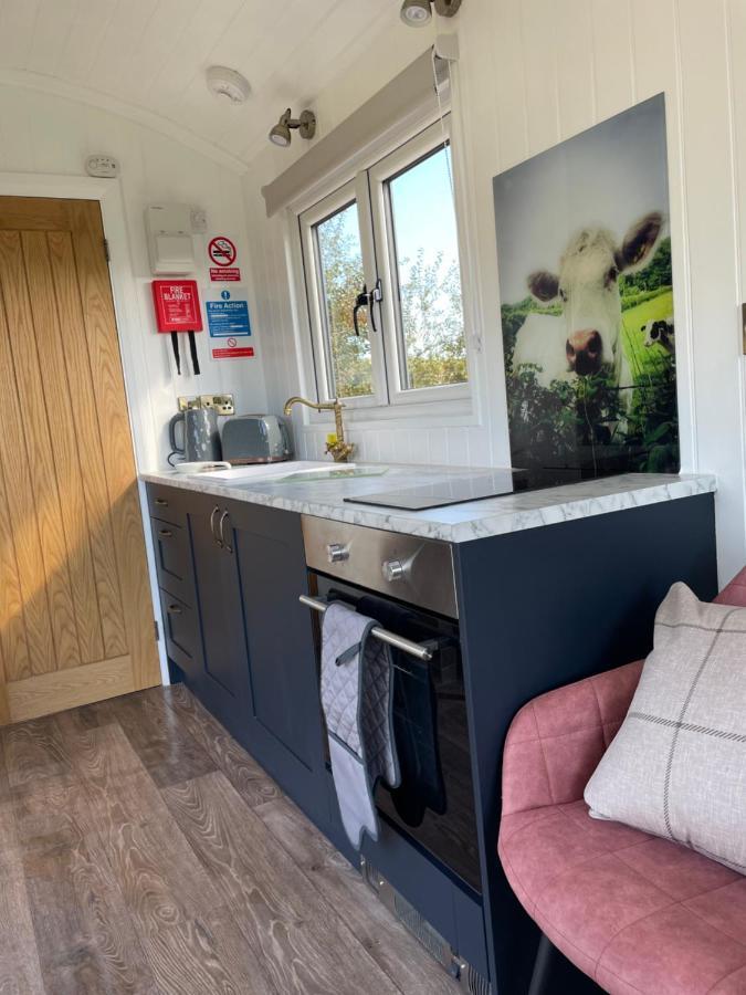 The Shepherd's Nest Lodge Bristol
