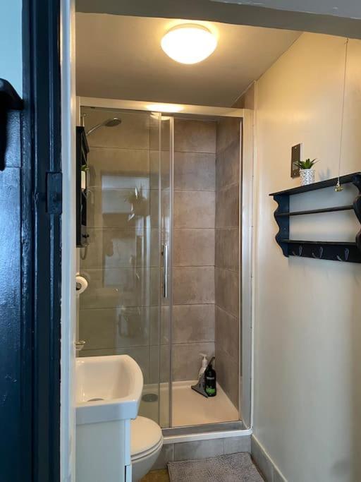 Clifton Georgian Townhouse, Downstairs Ensuite & Light Plant Based Breakfast * Bristol