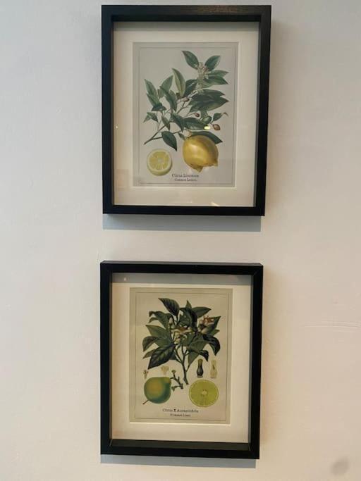 Clifton Georgian Townhouse, Downstairs Ensuite & Light Plant Based Breakfast * Bristol