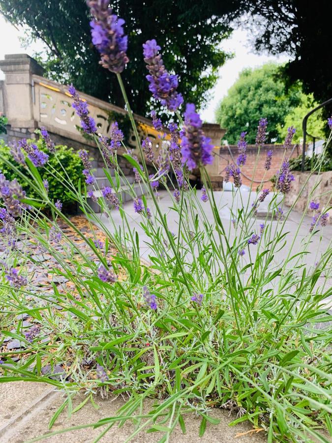 Bed & Breakfast Ferndale Mews 4*