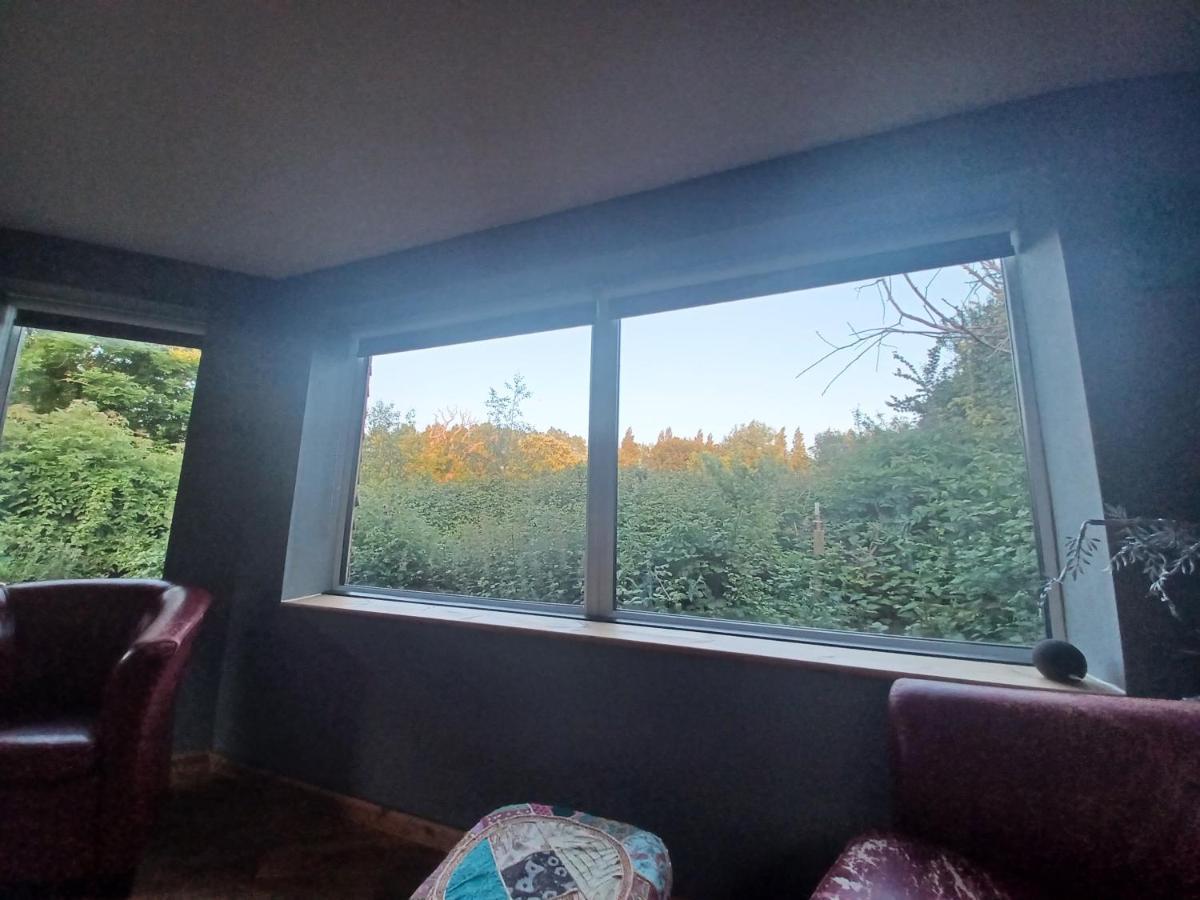 Dream View