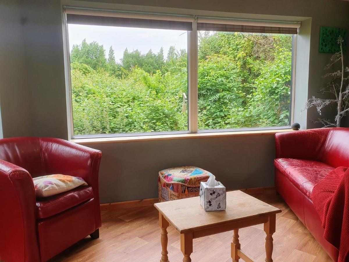 Dream View Guest house *