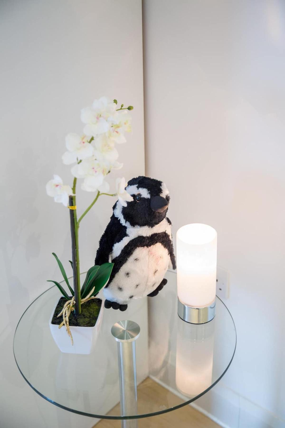 Apartment Chic Centre Moments From Wills Memorial *