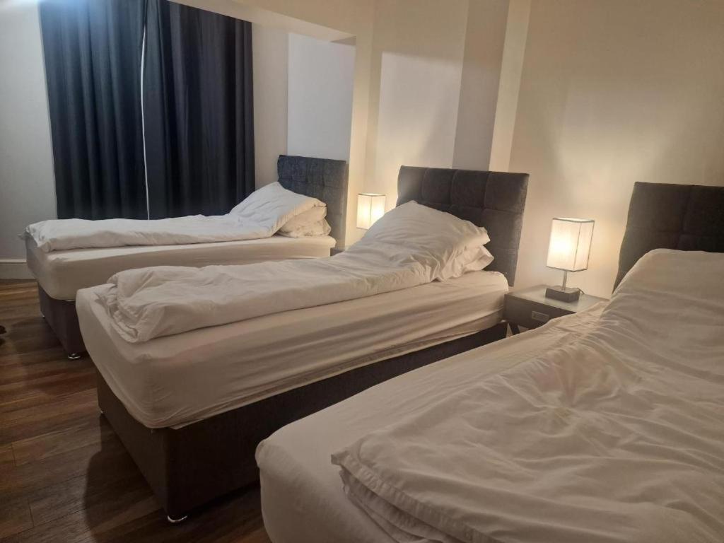 Apartment Suite, 3 Single Beds *